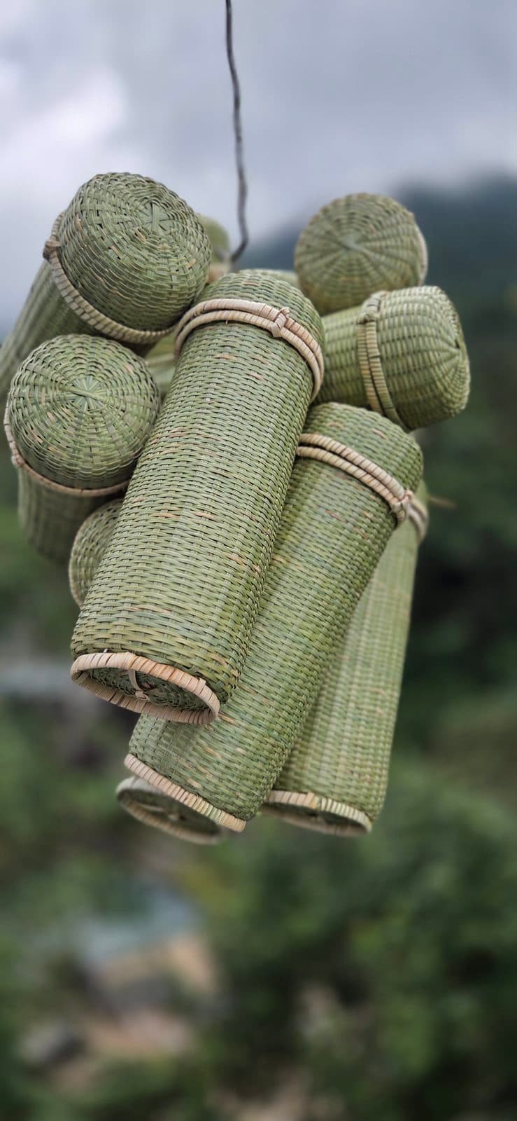 Lidded cylindrical bamboo storage containers in green bamboo